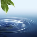 Célkeresztben a fenntartható vízgazdálkodás