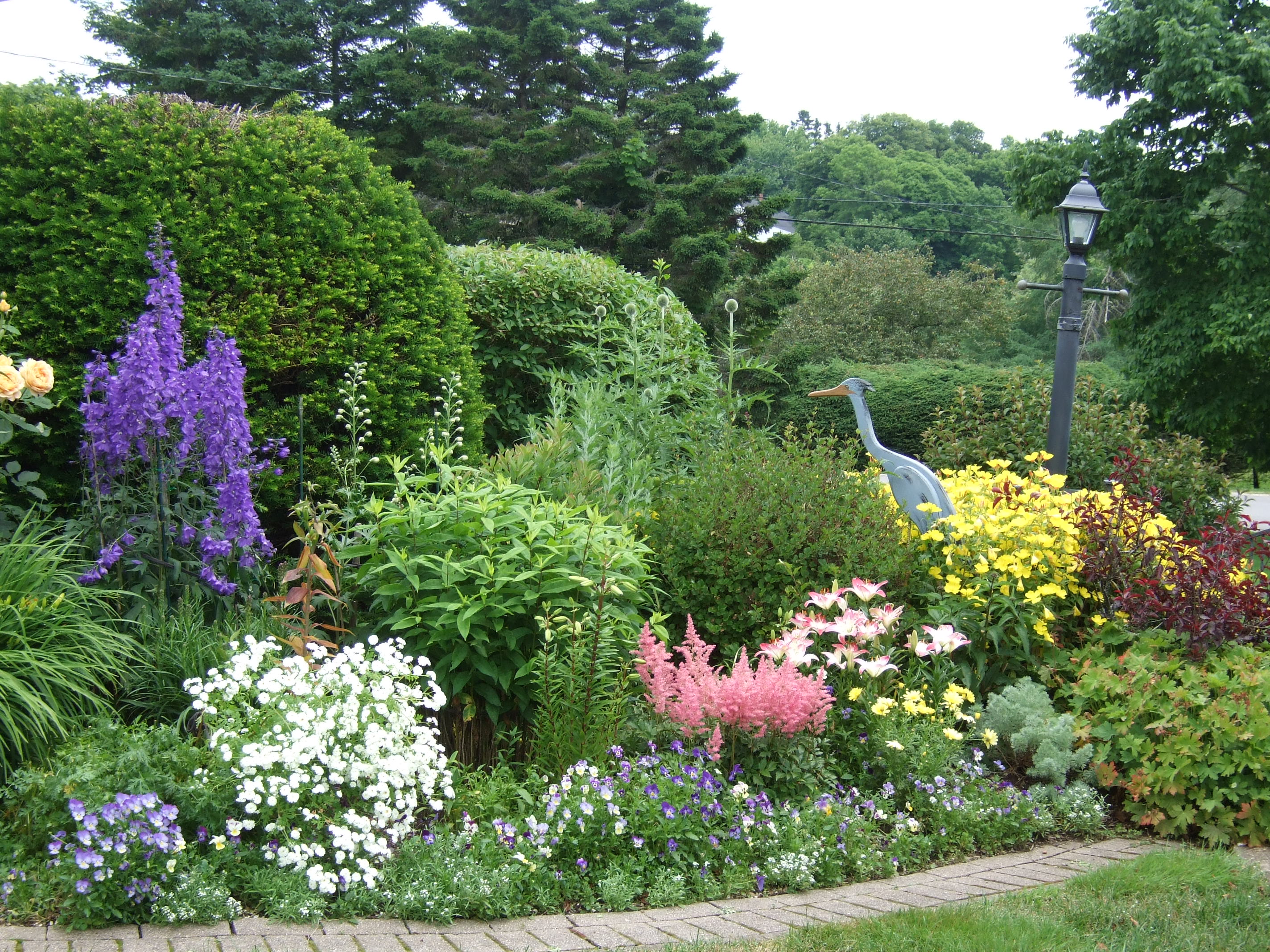 garden.jpg