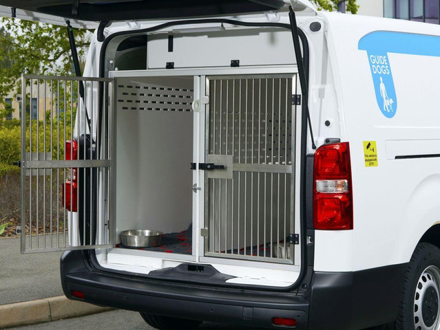 5789-peugeot-fleettoguidedogs-v_568676_19.jpg