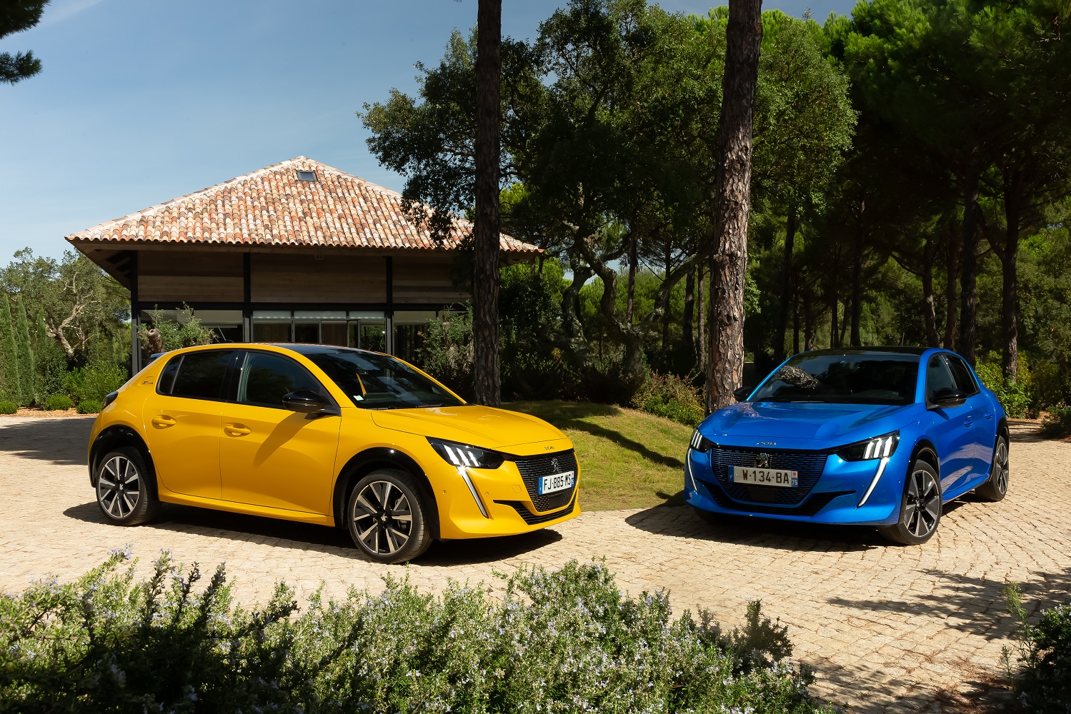 peugeot_208_shortlist2.jpg