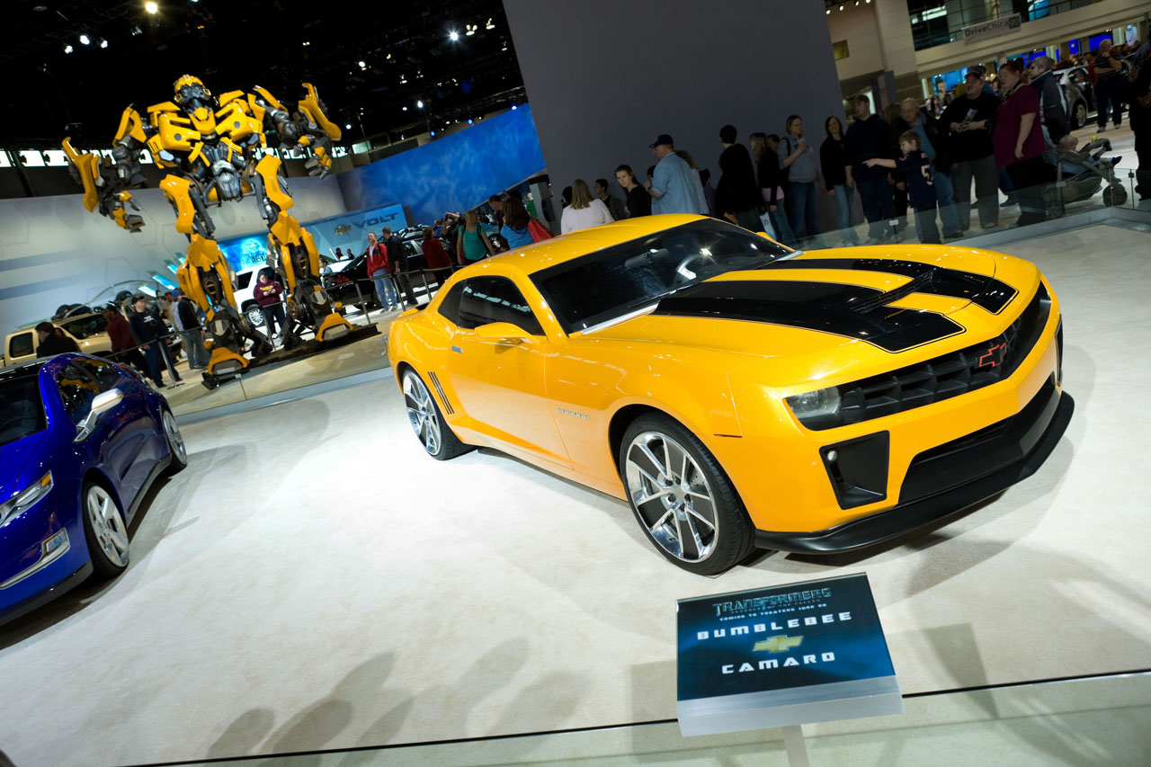 02-bumblebee-2.jpg