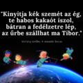 A második űrutazó