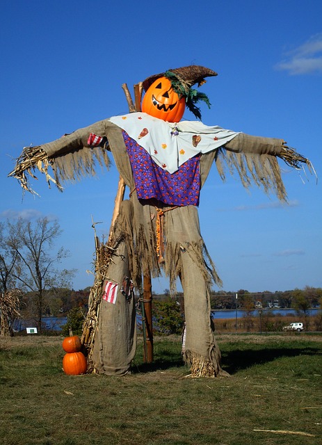 scarecrow-1416254_640_1.jpg