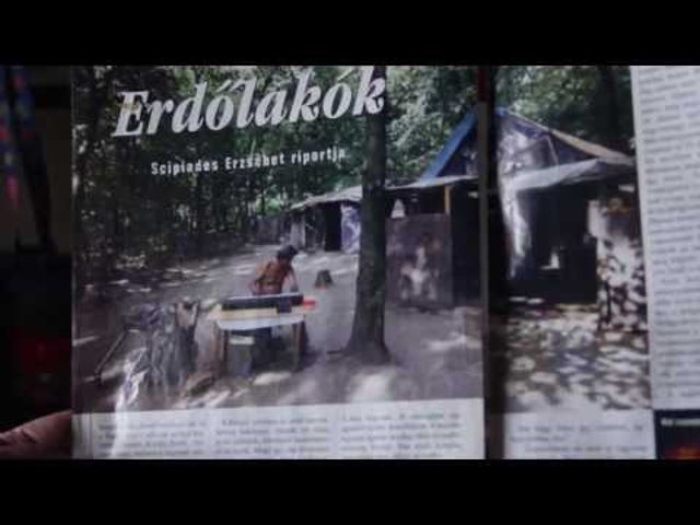 Erdőből lakásba - a terebesi erdő lakóinak története