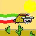 Mexican Nyan Cat