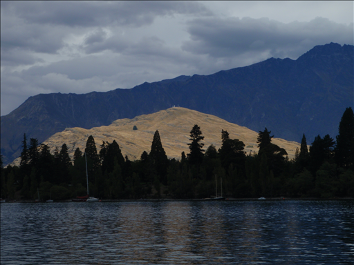 P2210434-resized.JPG