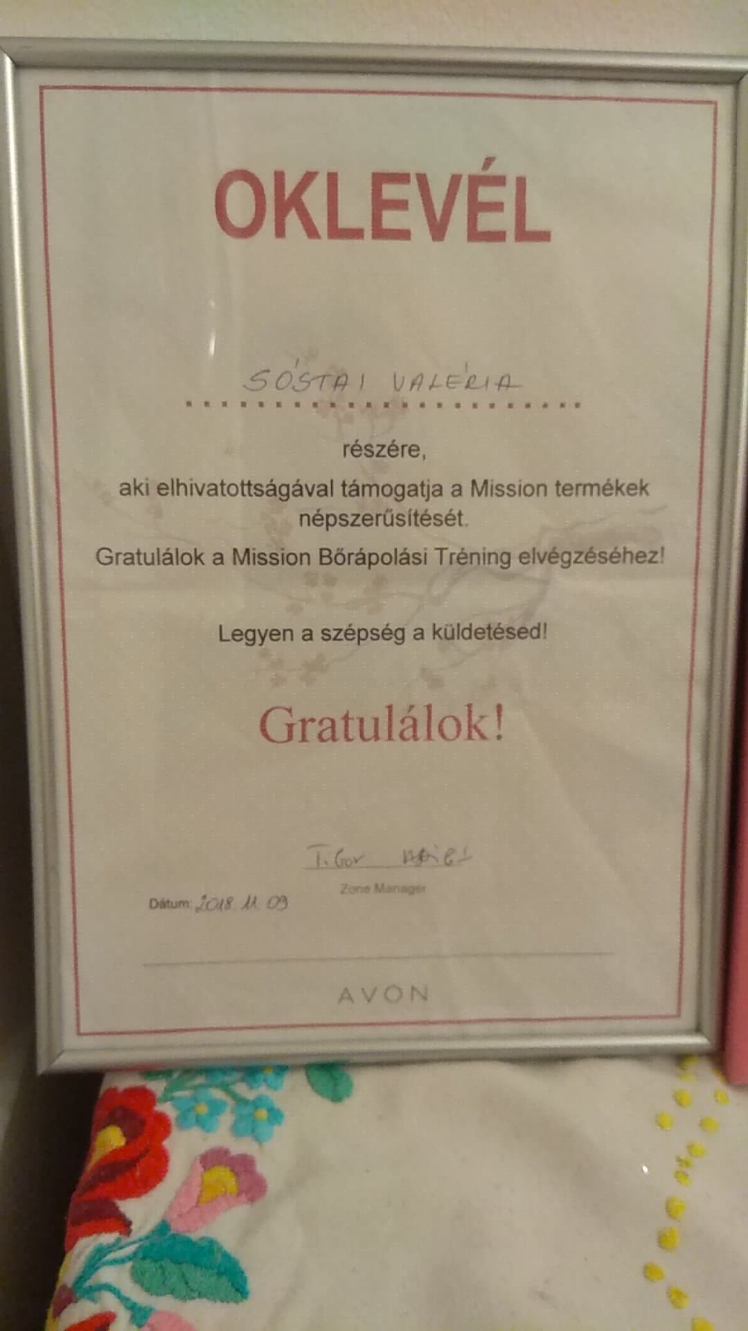2018_mission.jpg