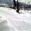 Pilis/VH: A hó az úr