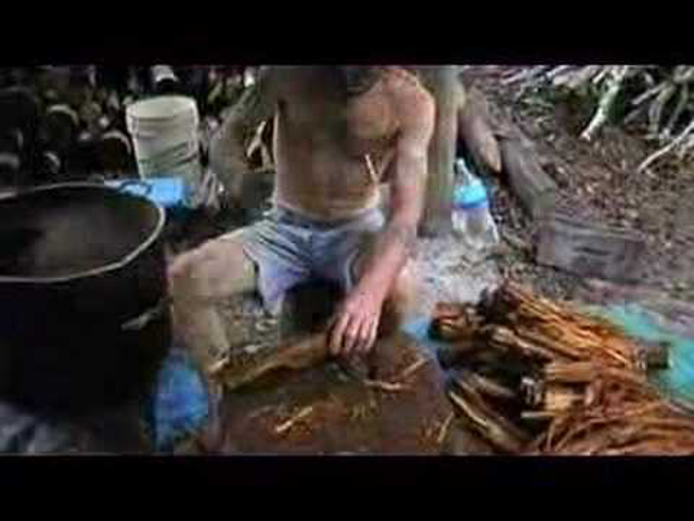 Videó az ayahuasca készítéséről