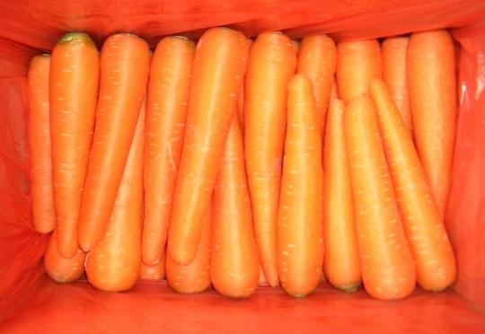 Chinese-Fresh-Carrot.jpg