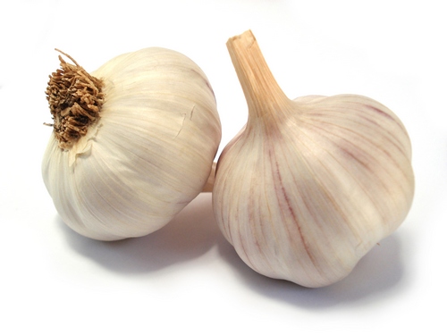 garlic21.jpg