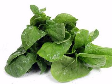 foglie-spinaci.jpg