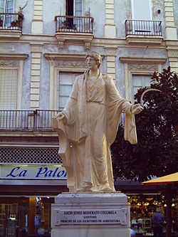 250px-Columella.JPG