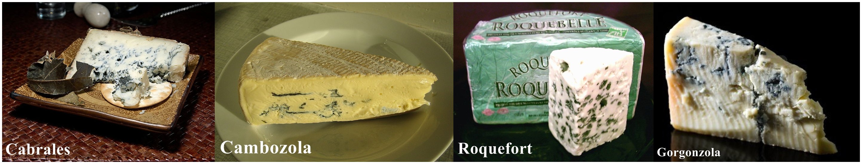 800px-Cabrales_blue_Cheese 1-horz.jpg