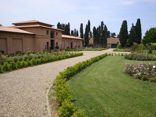 Cantina Sassicaia 004.jpg