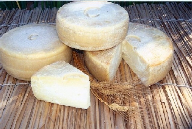 tuscan_cheese.jpg