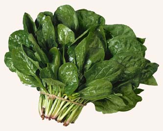 spinaci.jpg
