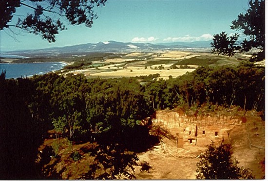 15580_piombino_parco_archeologico_di_baratti_e_populonia_necropoli_delle.jpg