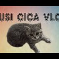 Az internet fertője...