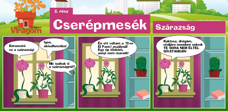 kepregeny_szarazsag copy.png