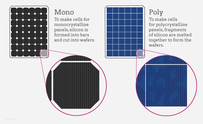 azaramara_poli_vs_mono_kep03.png