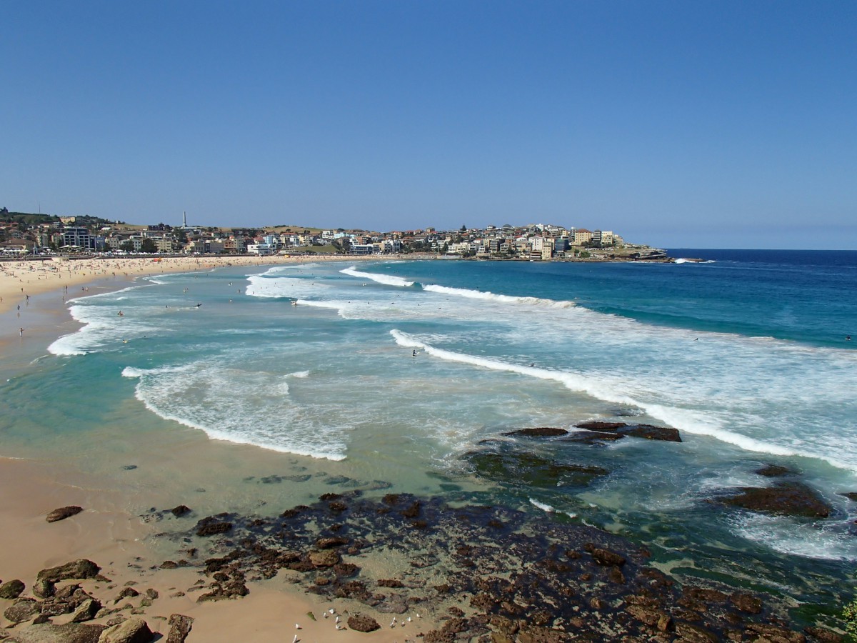 Bondi Beach