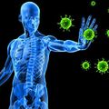 Hogyan erősítsük az immunrendszerünket?