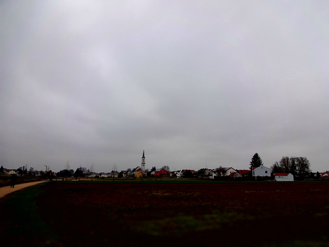 dsc02828m.jpg