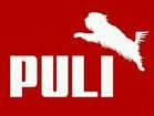 Puli logo.jpg