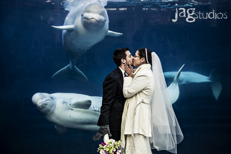 jagstudios-james-milly-mystic-aquarium-ct-destination-wedding-photography-040.jpg