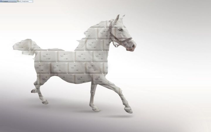 166937_340731522618794_100000458476127_1197662_859482708_n.jpg