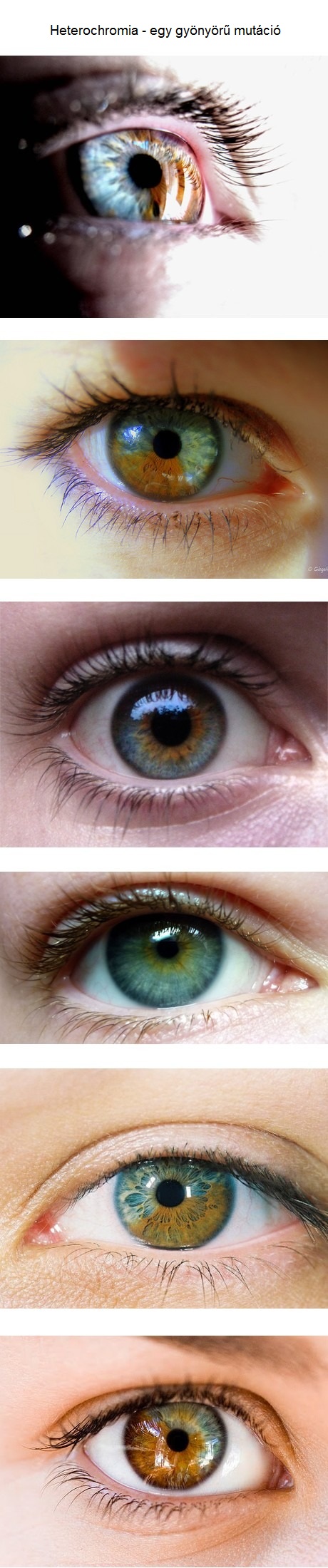 beautiful_mutation.jpg