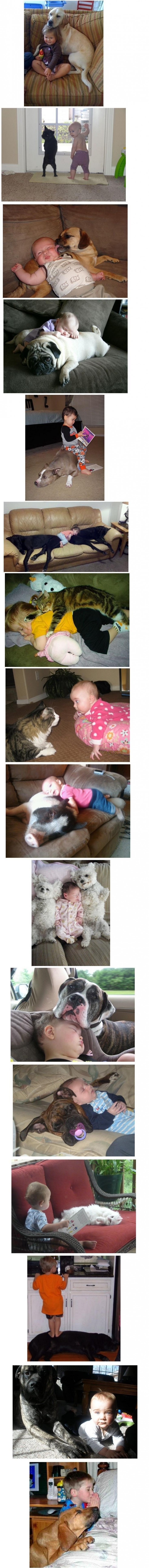 kid_with_animals.jpg