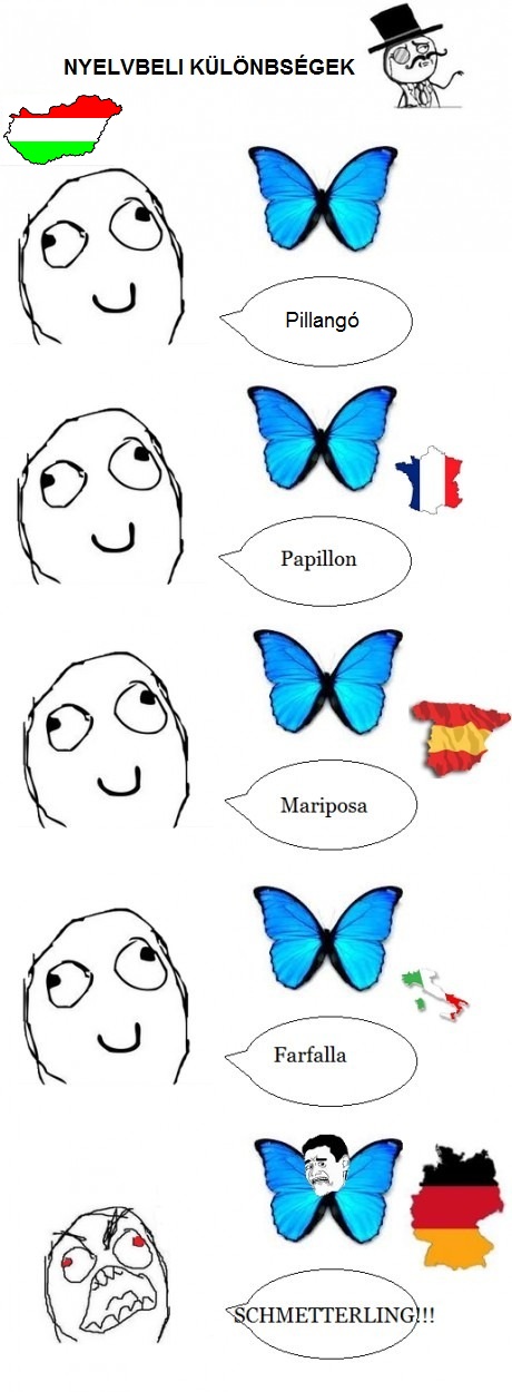 nyelvi_kulonbsegek.jpg