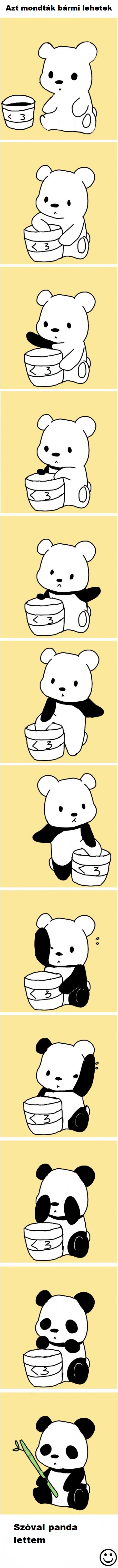panda.jpg