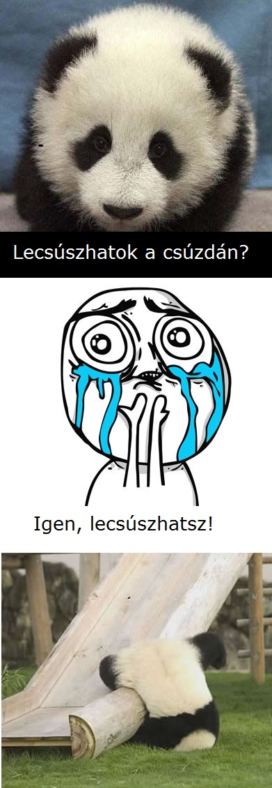pandaslide.jpg