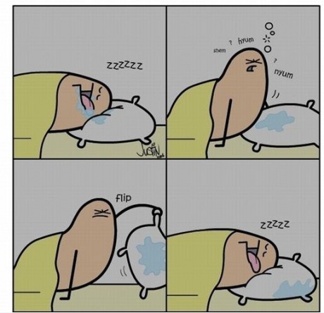 pillow_flip.jpg