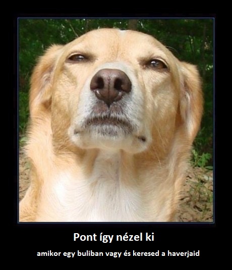 pont_igy_nezel_ki.jpg