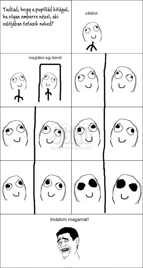 pupils.jpg