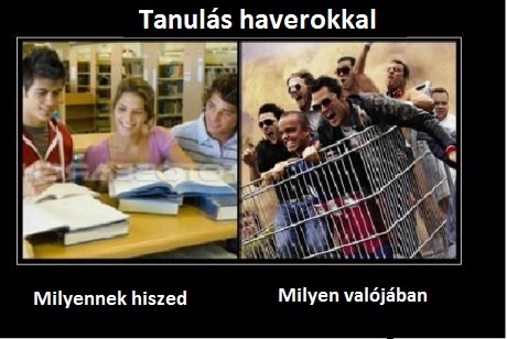 tanulás_haverokkal.jpg