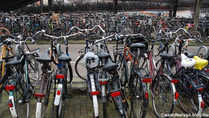 Hollandia_biciklivel05.jpg