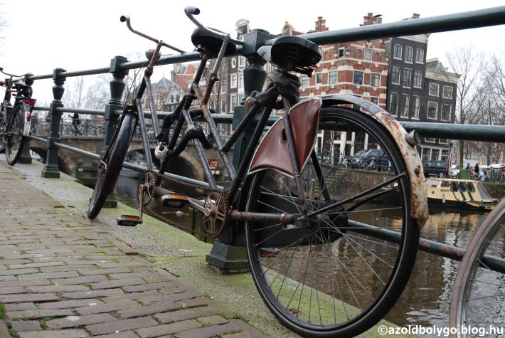 Hollandia_biciklivel06.jpg