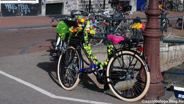 Hollandia_biciklivel08.jpg