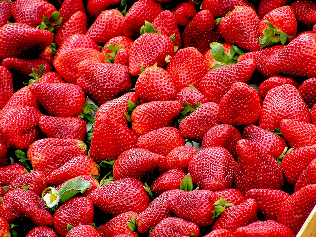 strawberries-red-fruit-royalty-free-70746.jpeg