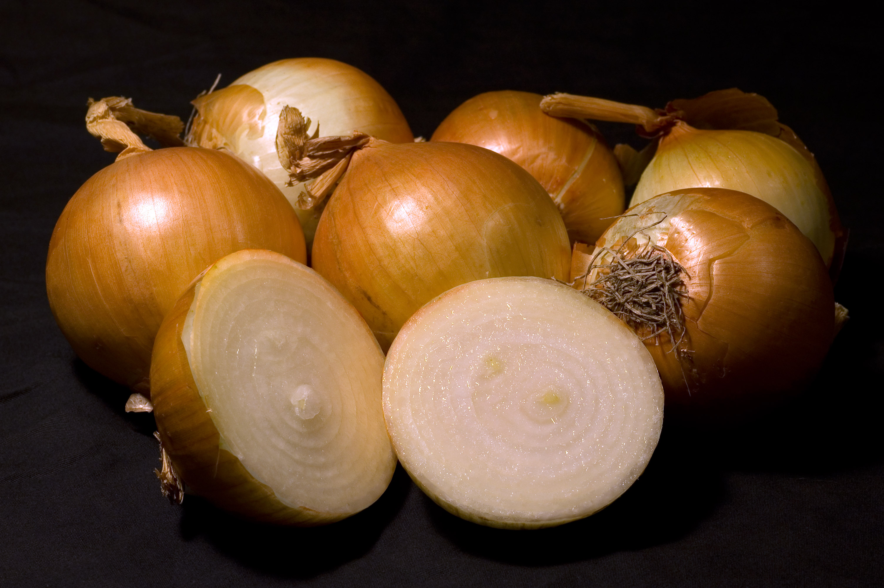 yellow_onion_with_x-section.jpg