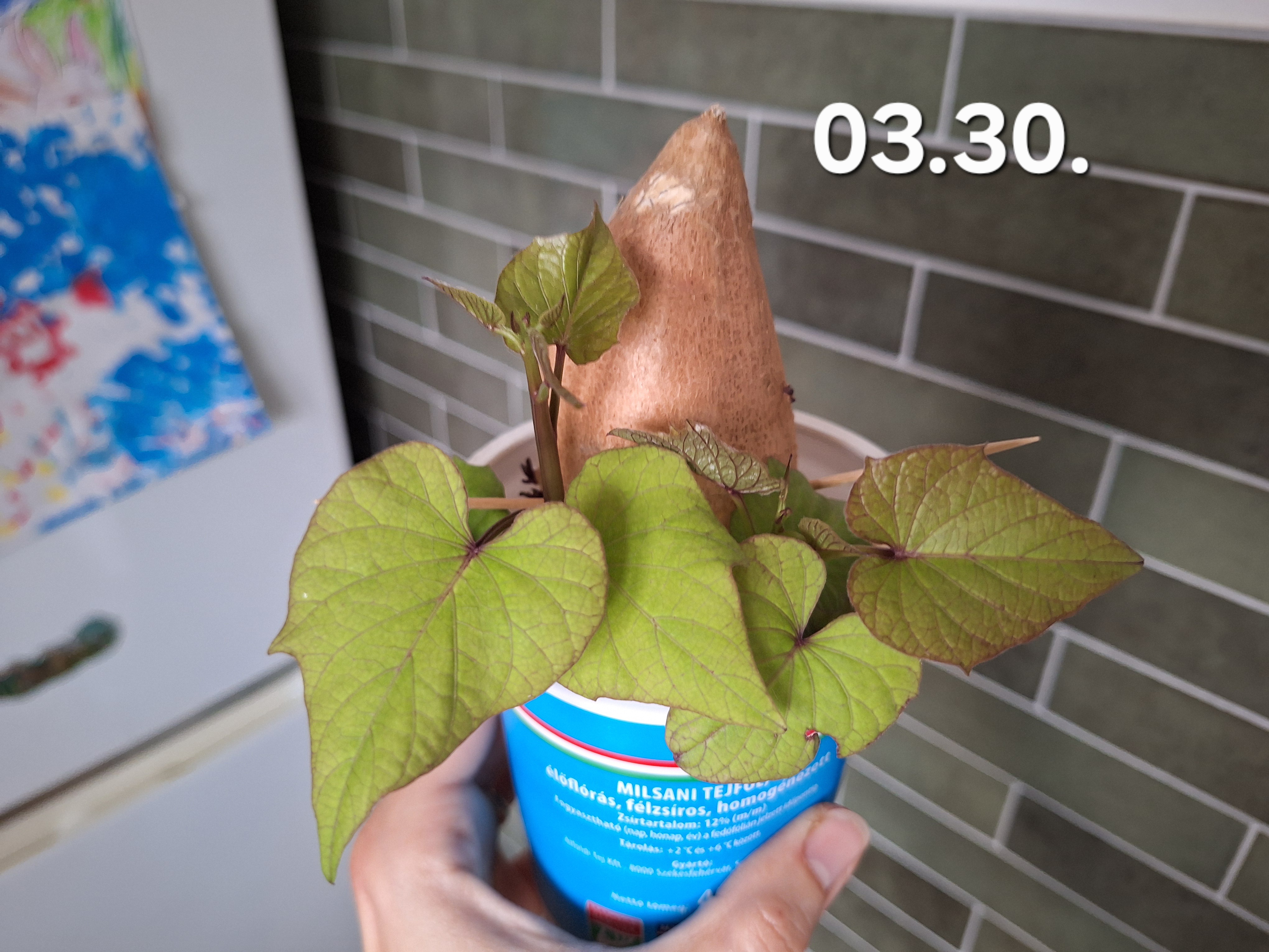 20250330_181142.jpg