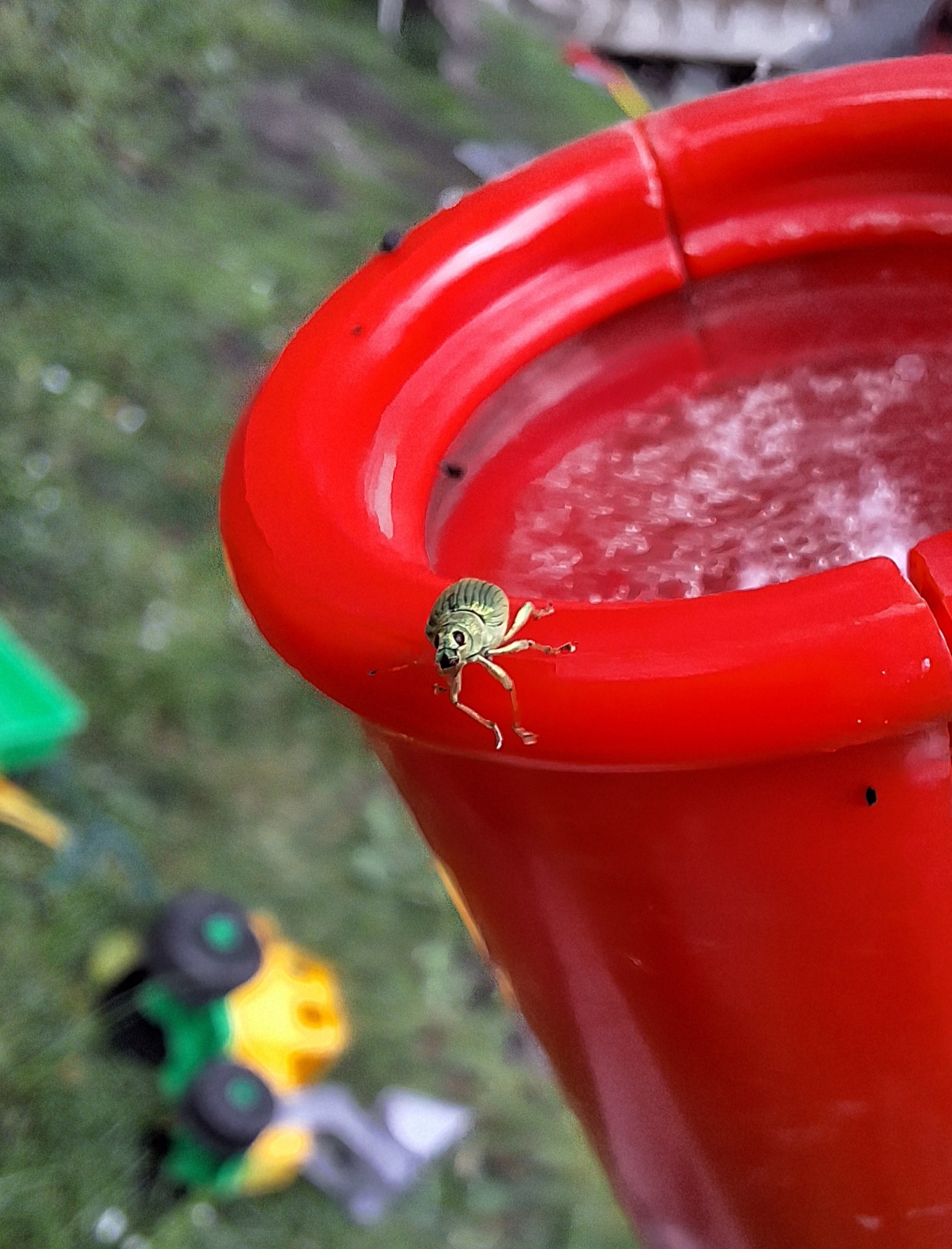 20250524_104158.jpg