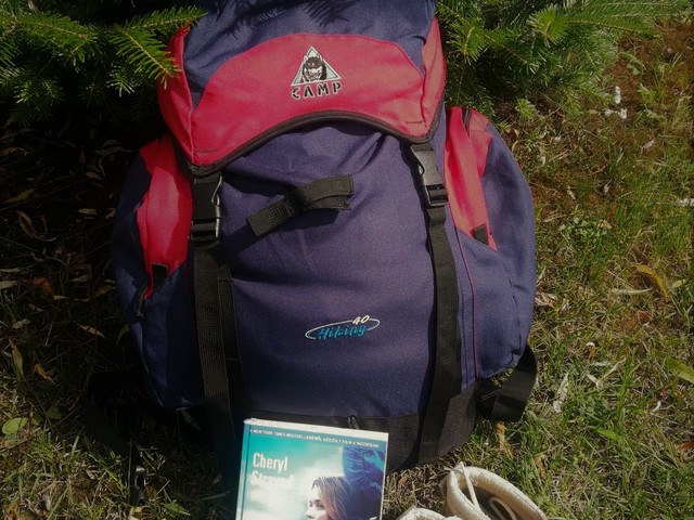 Cheryl Strayed: Vadon - Ezermérföldes utam önmagamhoz