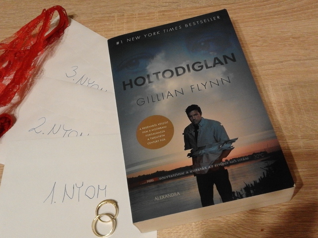 Gillian Flynn: Holtodiglan