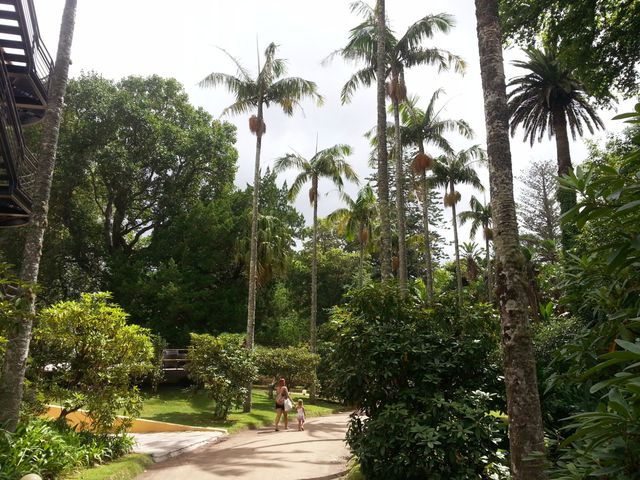 Parque Terra Nostra